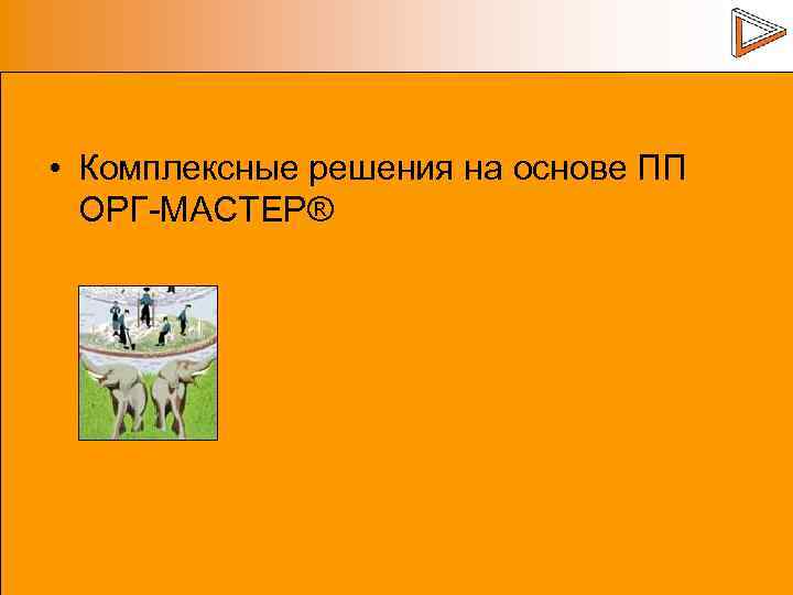  • Комплексные решения на основе ПП ОРГ-МАСТЕР® 