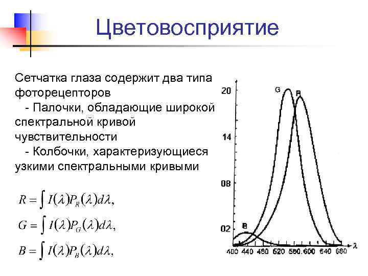 Цветовосприятие Сетчатка глаза содержит два типа фоторецепторов - Палочки, обладающие широкой спектральной кривой чувствительности