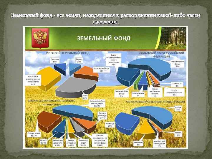 Земельный фонд - все земли, находящиеся в распоряжении какой-либо части населения. 
