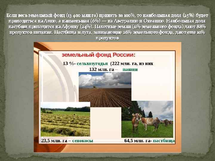 Если весь земельный фонд (13 400 млн га) принять за 100%, то наибольшая доля