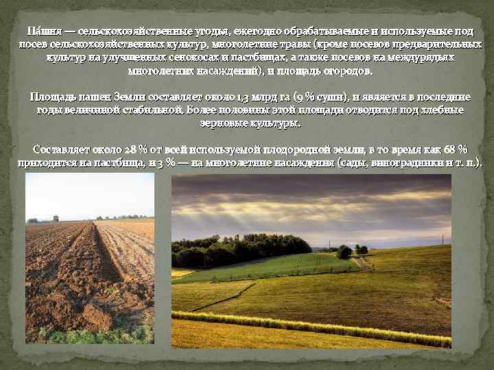 Па шня — сельскохозяйственные угодья, ежегодно обрабатываемые и используемые под посев сельскохозяйственных культур, многолетние