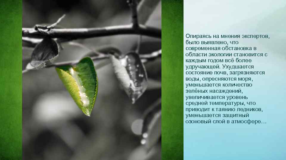 Опираясь на мнения экспертов, было выявлено, что современная обстановка в области экологии становится с