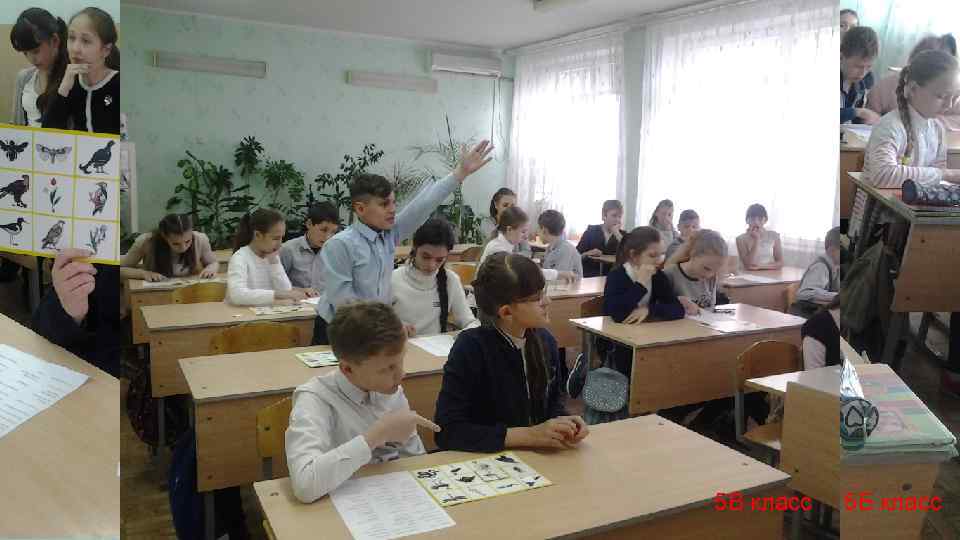 5 А класс 5 В класс 5 Б класс 