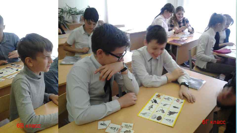 6 В класс 6 А класс 6 Б класс 6 Г класс 