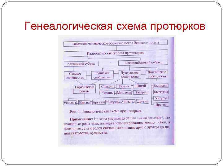 Генеалогическая схема протюрков 
