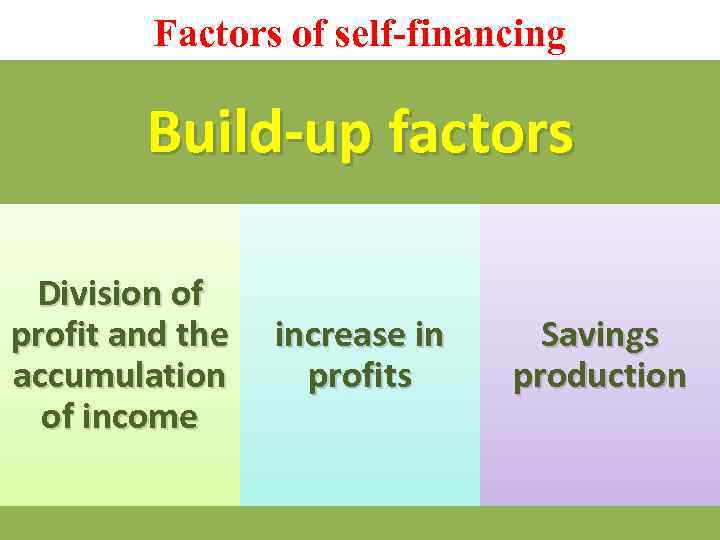 Factors of self-financing Build-up factors Division of profit and the accumulation of income increase