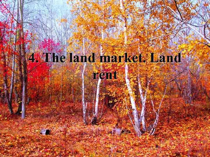 4. The land market. Land rent 