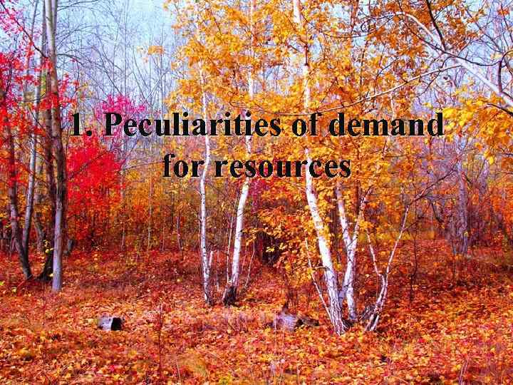 1. Peculiarities of demand for resources 