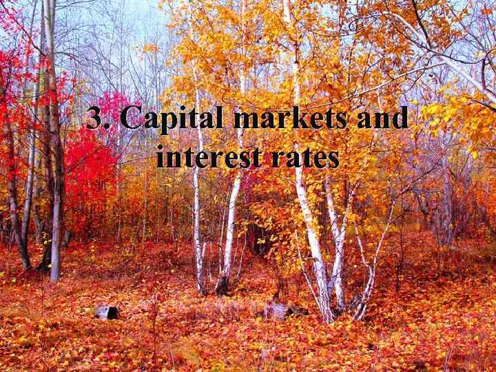 3. Capital markets and interest rates 