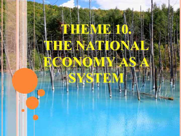 THEME 10. THE NATIONAL ECONOMY AS A SYSTEM 
