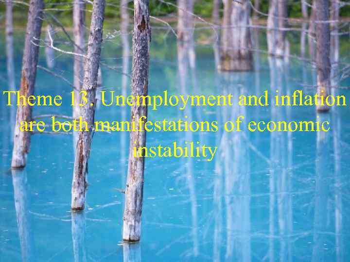 Theme 13. Unemployment and inflation are both manifestations of economic instability 