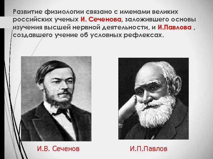 Развитие физиологии связано с именами великих российских ученых И. Сеченова, заложившего основы изучения высшей