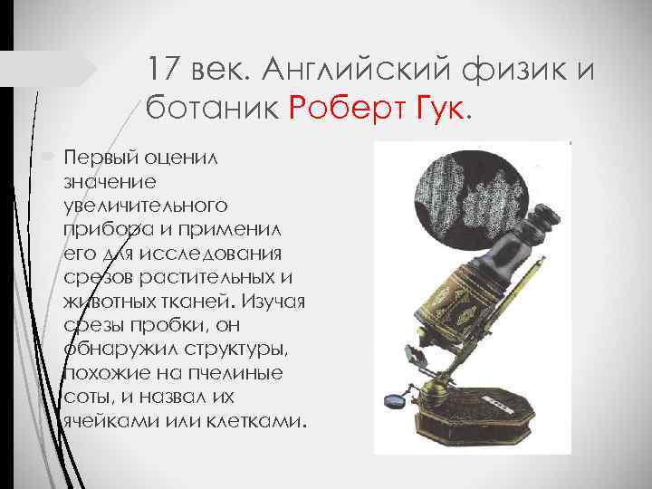 17 век. Английский физик и ботаник Роберт Гук. Первый оценил значение увеличительного прибора и