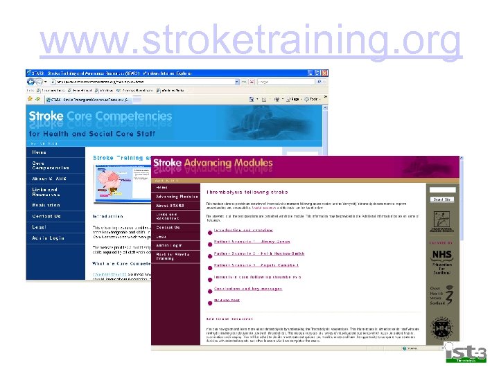 www. stroketraining. org 