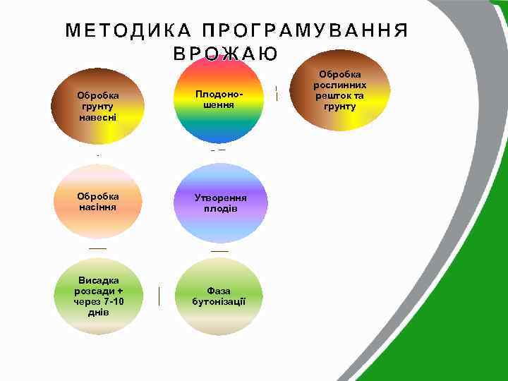 МЕТОДИКА ПРОГРАМУВАННЯ ВРОЖАЮ Обробка грунту навесні Плодоношення Обробка насіння Утворення плодів Висадка розсади +