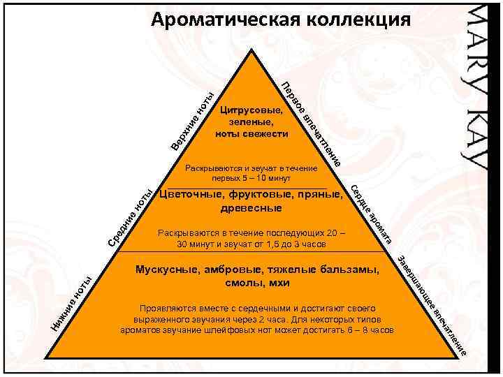 от ен ни ча Цитрусовые, зеленые, ноты свежести е вп е тл рх ое