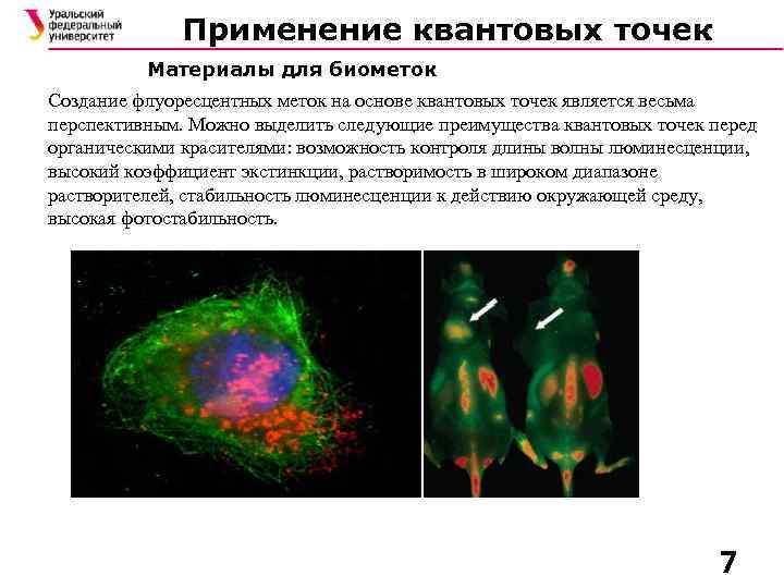 Применение квантовых точек Материалы для биометок Создание флуоресцентных меток на основе квантовых точек является