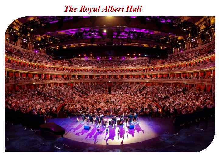 The Royal Albert Hall inside 