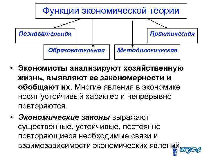 Функции экономической теории Познавательная Образовательная Практическая Методологическая • Экономисты анализируют хозяйственную жизнь, выявляют ее