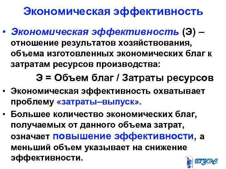 Экономическая эффективность • Экономическая эффективность (Э) – отношение результатов хозяйствования, объема изготовленных экономических благ