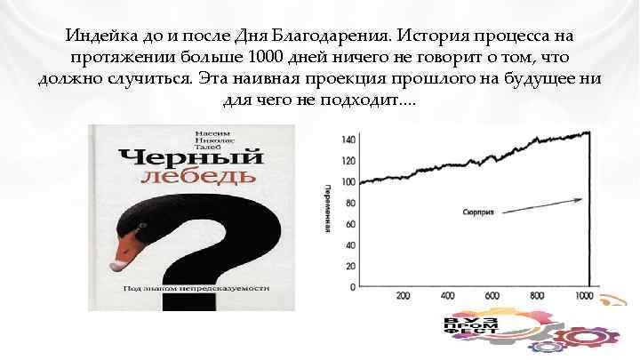 Индейка до и после Дня Благодарения. История процесса на протяжении больше 1000 дней ничего