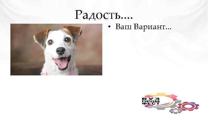 Радость. . • Ваш Вариант. . . 