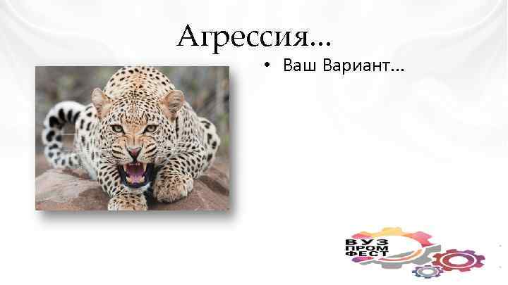 Агрессия. . . • Ваш Вариант. . . 