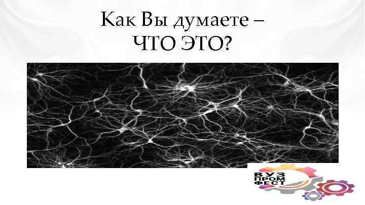 Как Вы думаете – ЧТО ЭТО? 