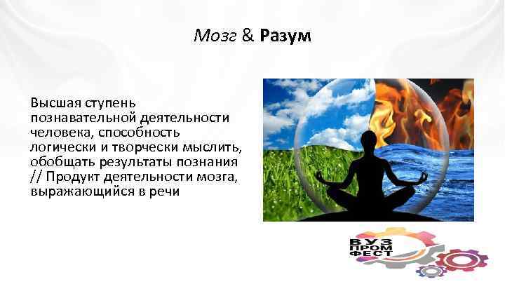 Мозг & Разум Высшая ступень познавательной деятельности человека, способность логически и творчески мыслить, обобщать