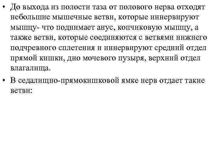  • До выхода из полости таза от полового нерва отходят небольшие мышечные ветви,