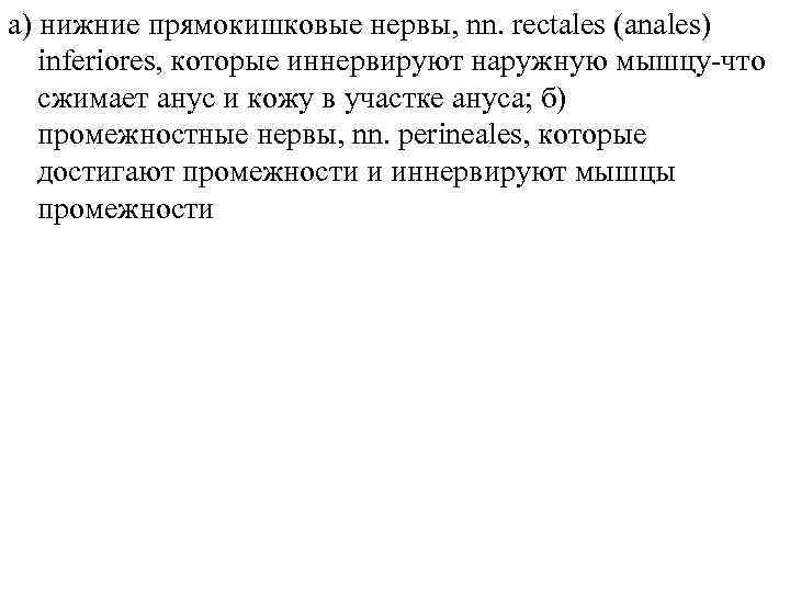 а) нижние прямокишковые нервы, nn. rectales (anales) inferiores, которые иннервируют наружную мышцу-что сжимает анус