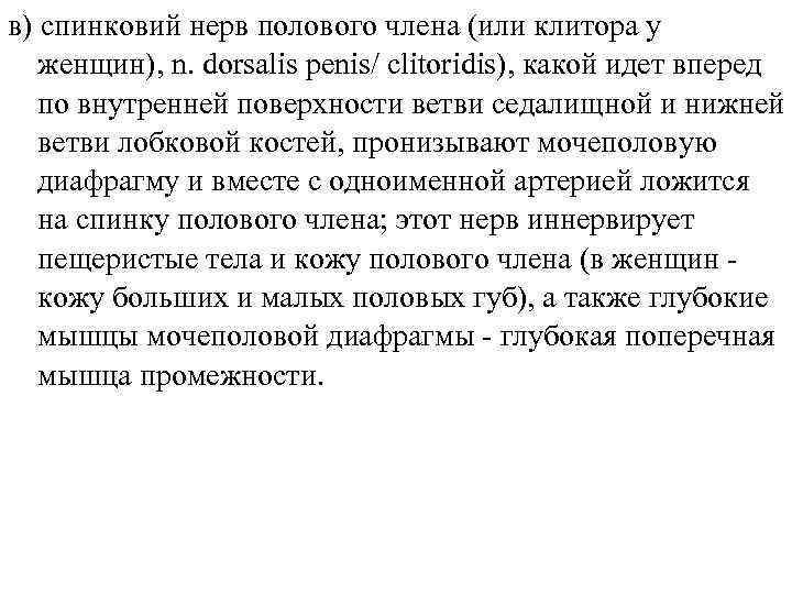 в) спинковий нерв полового члена (или клитора у женщин), n. dorsalis penis/ clitoridis), какой