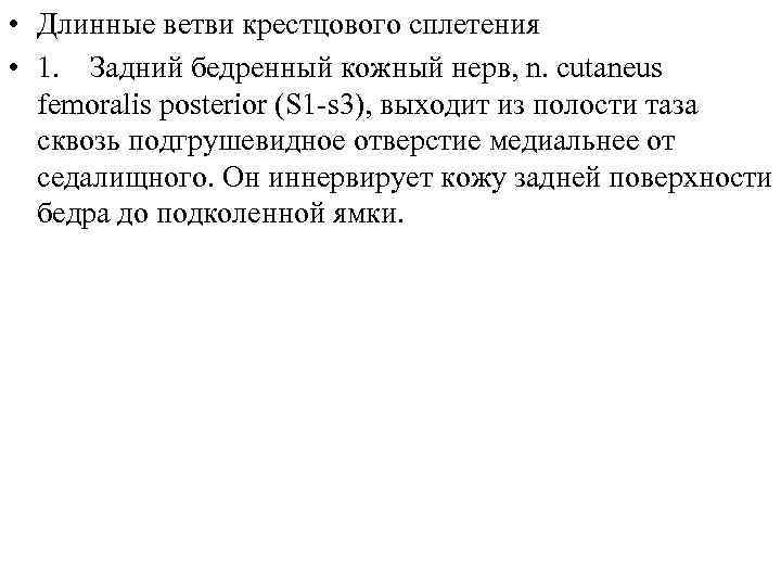  • Длинные ветви крестцового сплетения • 1. Задний бедренный кожный нерв, n. cutaneus