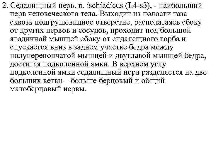 2. Седалищный нерв, n. ischiadicus (L 4 -s 3), - наибольший нерв человеческого тела.