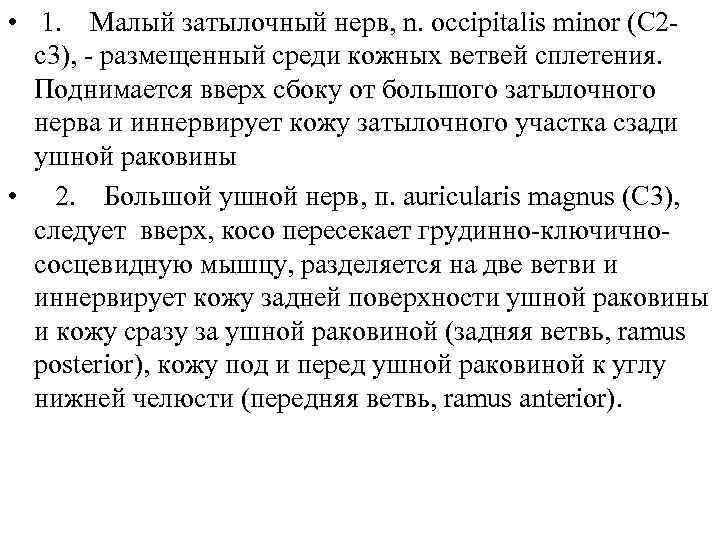 • 1. Малый затылочный нерв, n. occipitalis minor (C 2 c 3), -