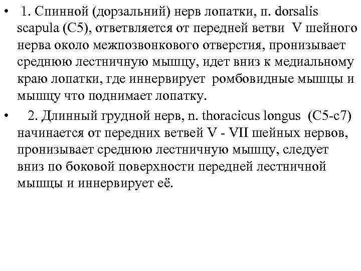  • 1. Спинной (дорзальний) нерв лопатки, п. dorsalis scapula (C 5), ответвляется от