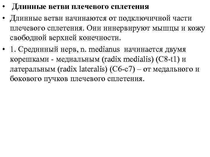  • Длинные ветви плечевого сплетения • Длинные ветви начинаются от подключичной части плечевого
