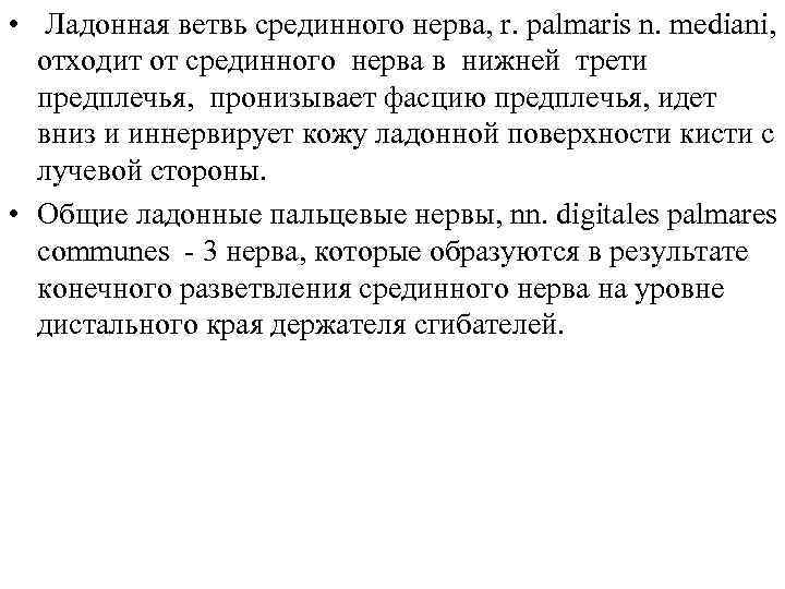  • Ладонная ветвь срединного нерва, r. palmaris n. mediani, отходит от срединного нерва