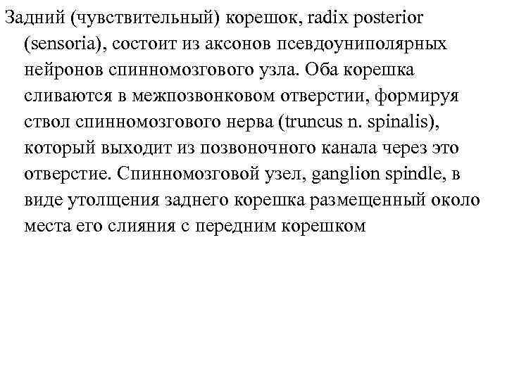 Задний (чувствительный) корешок, radix posterior (sensoria), состоит из аксонов псевдоуниполярных нейронов спинномозгового узла. Оба
