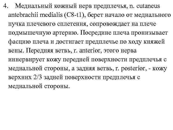 4. Медиальный кожный нерв предплечья, n. cutaneus antebrachii medialis (C 8 -t 1), берет
