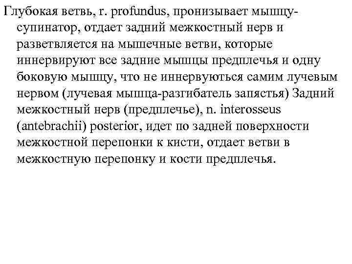 Глубокая ветвь, r. profundus, пронизывает мышцусупинатор, отдает задний межкостный нерв и разветвляется на мышечные
