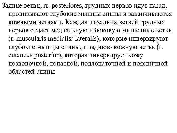 Задние ветви, rr. posteriores, грудных нервов идут назад, пронизывают глубокие мышцы спины и заканчиваются