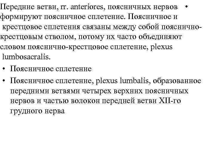 Передние ветви, rr. anteriores, поясничных нервов • формируют поясничное сплетение. Поясничное и крестцовое сплетения