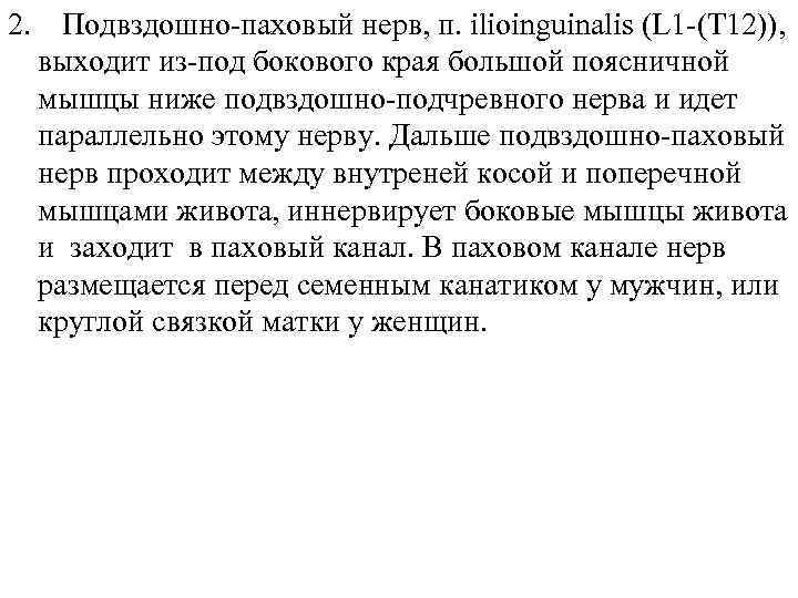 2. Подвздошно-паховый нерв, п. ilioinguinalis (L 1 -(T 12)), выходит из-под бокового края большой