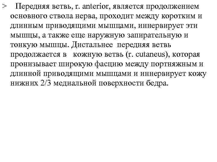 > Передняя ветвь, r. anterior, является продолжением основного ствола нерва, проходит между коротким и