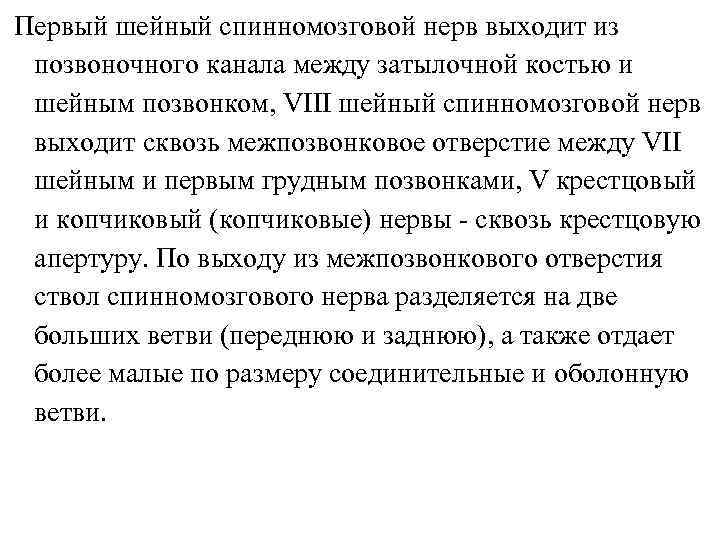 Первый шейный спинномозговой нерв выходит из позвоночного канала между затылочной костью и шейным позвонком,