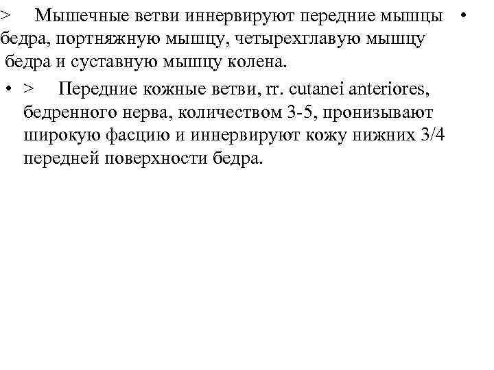 > Мышечные ветви иннервируют передние мышцы • бедра, портняжную мышцу, четырехглавую мышцу бедра и