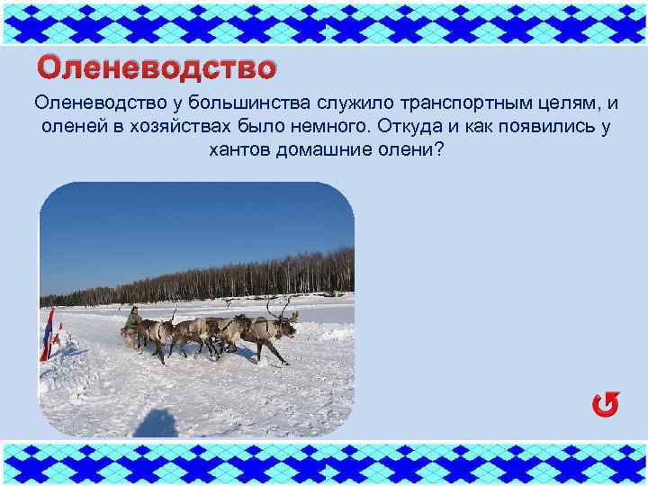 Оленеводство у большинства служило транспортным целям, и оленей в хозяйствах было немного. Откуда и