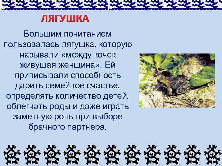 ЛЯГУШКА Большим почитанием пользовалась лягушка, которую называли «между кочек живущая женщина» . Ей приписывали