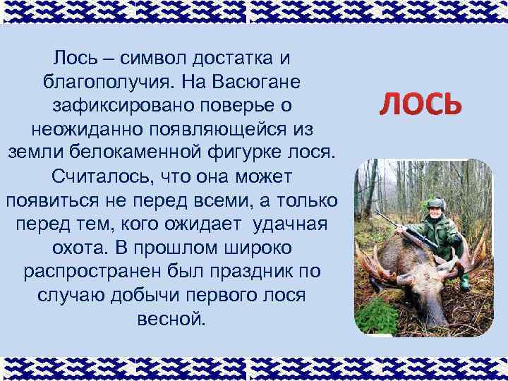 Лось – символ достатка и благополучия. На Васюгане зафиксировано поверье о неожиданно появляющейся из